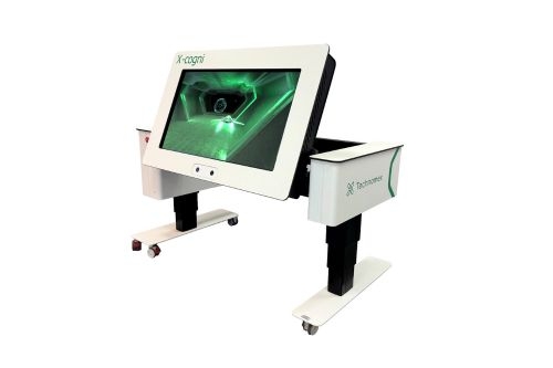 Entrenamiento cognitivo